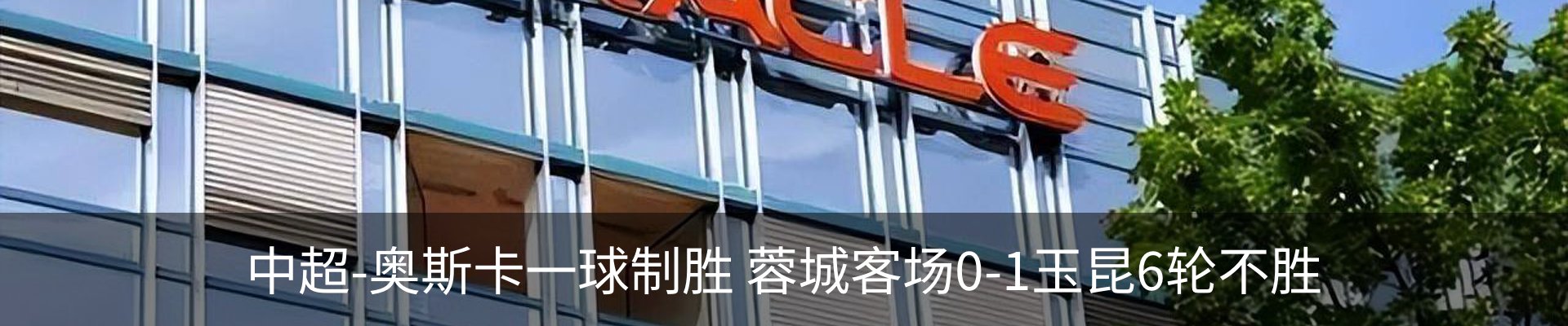 最新动态