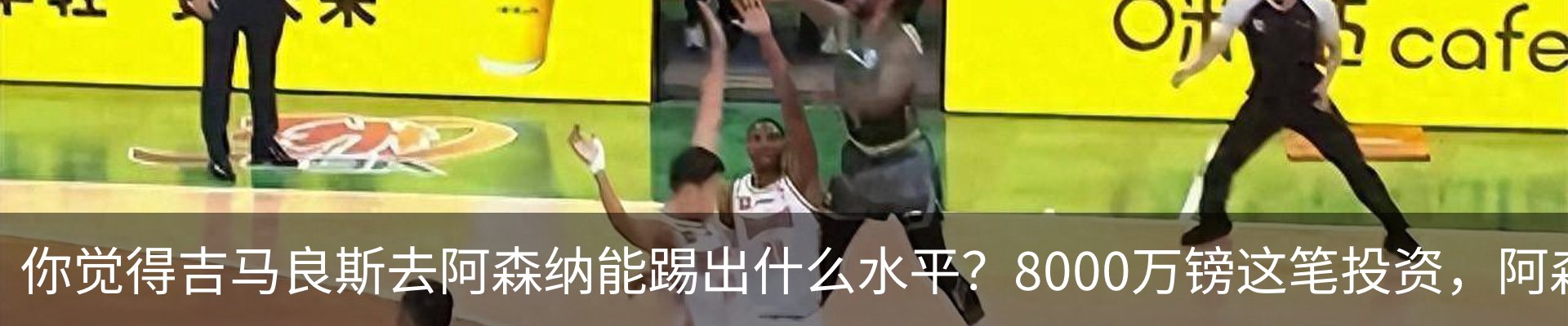 最新动态