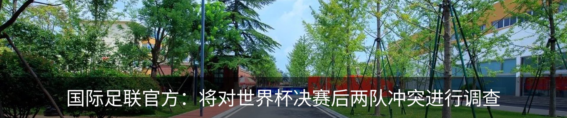 最新动态