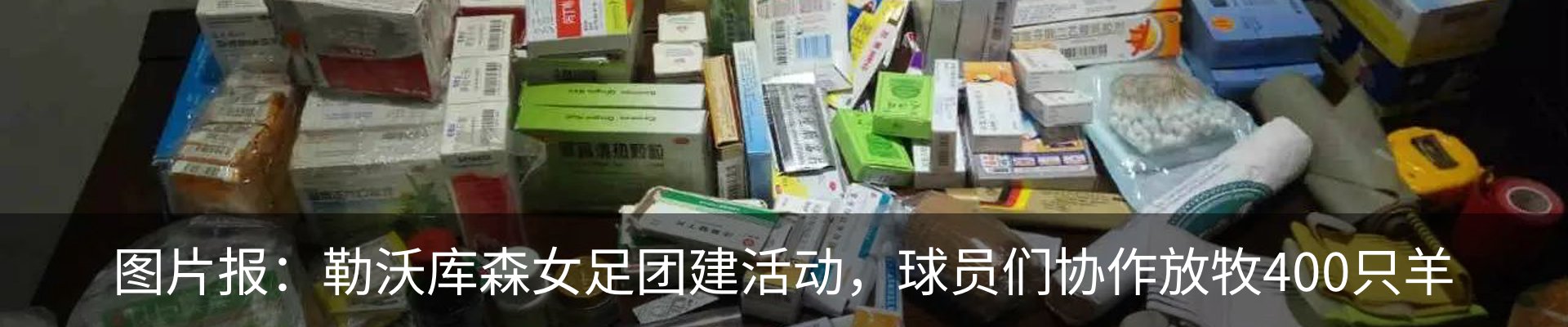 最新动态