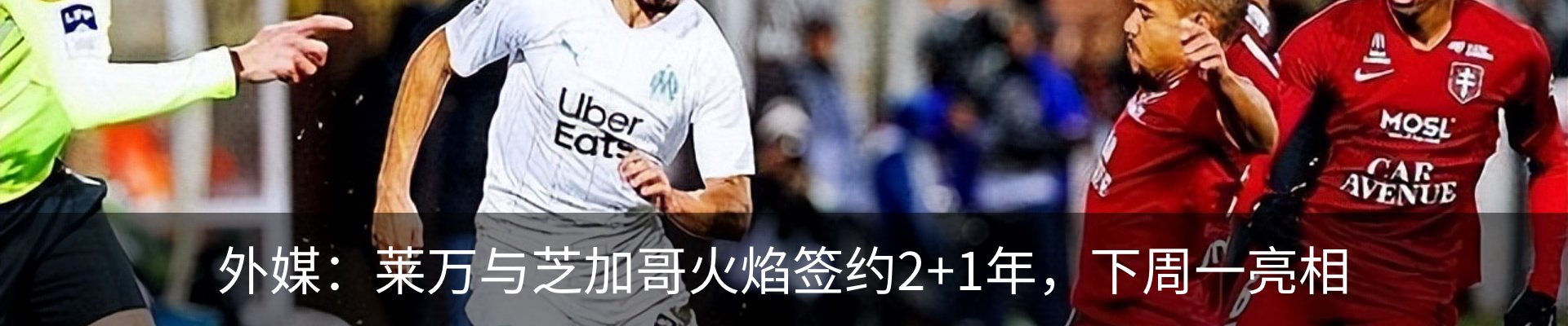 最新动态