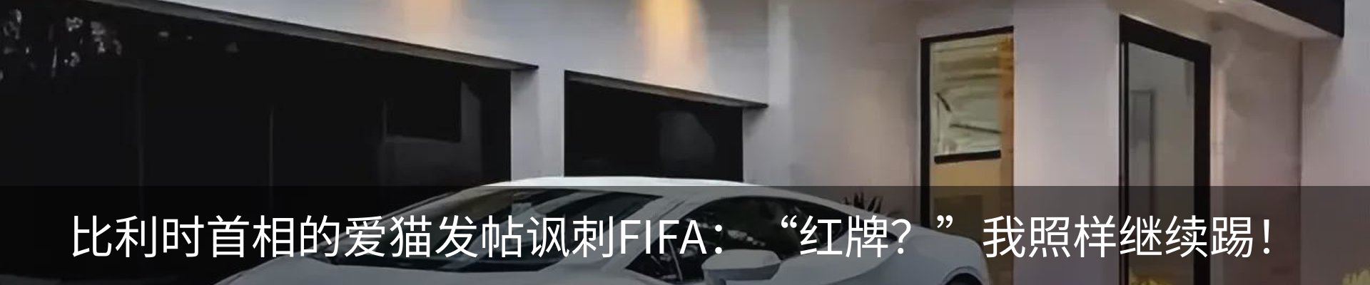 最新动态