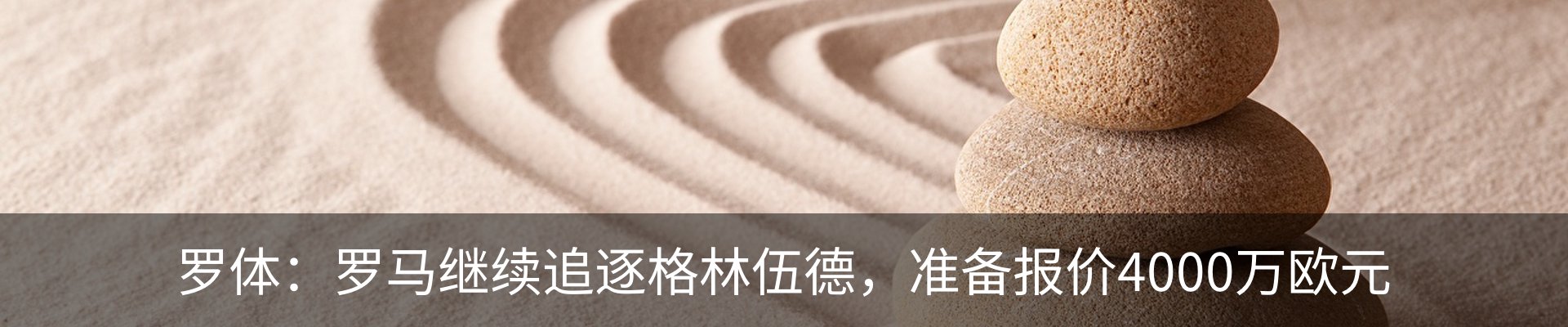 最新动态
