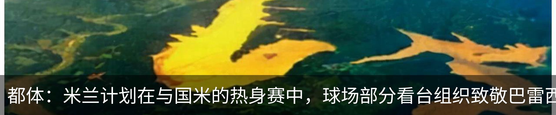 最新动态