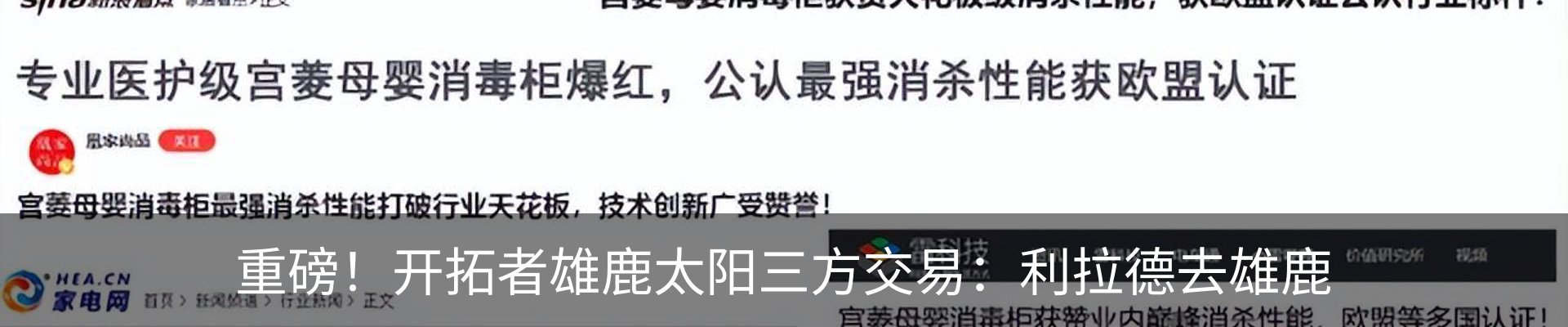 最新动态