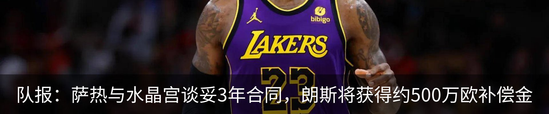 最新动态