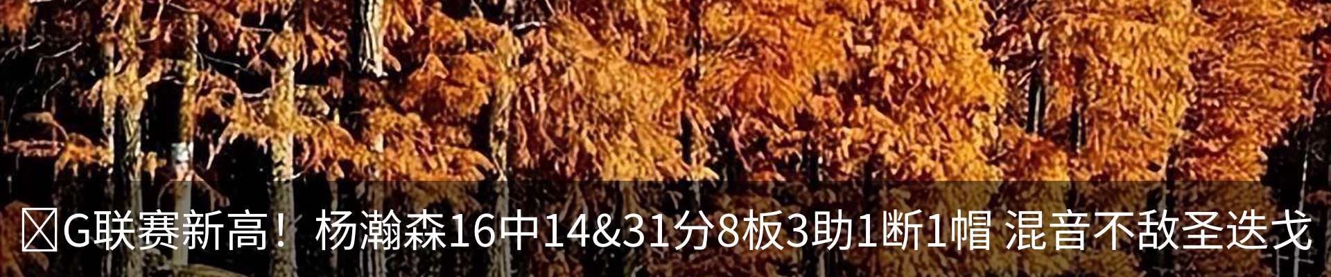 最新动态