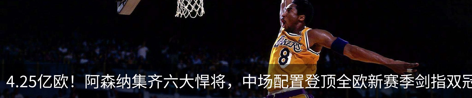 最新动态